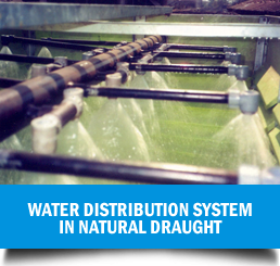 Water-Distribution-System-in-Natural-Draught